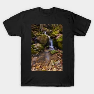 Mountain pool T-Shirt